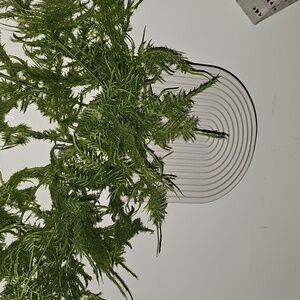 Arched Wall Vase Threshold Project 62 Studio Mcgee